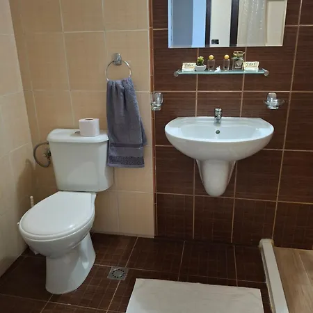 Διαμέρισμα илен 433 Royal Towers Μπάνσκο